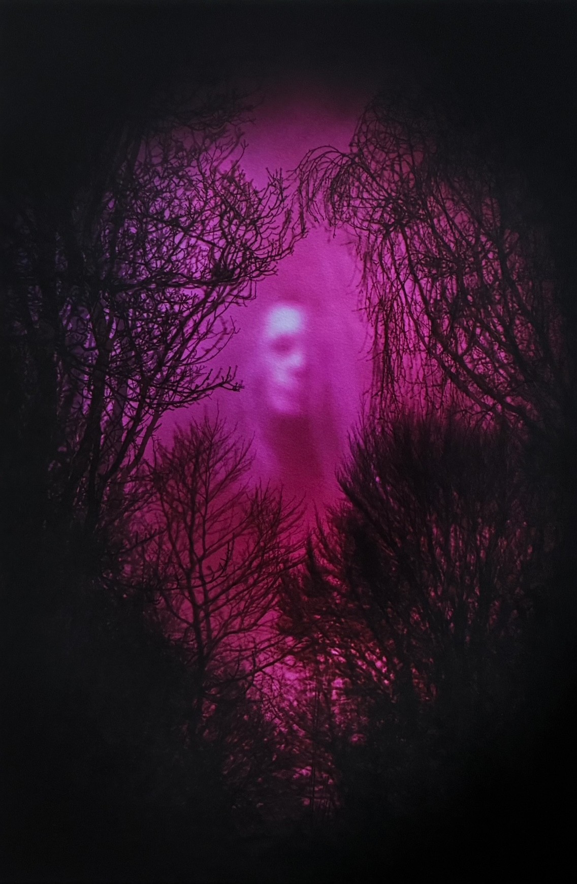 Ofte Jeg Drømmer Mig Levende