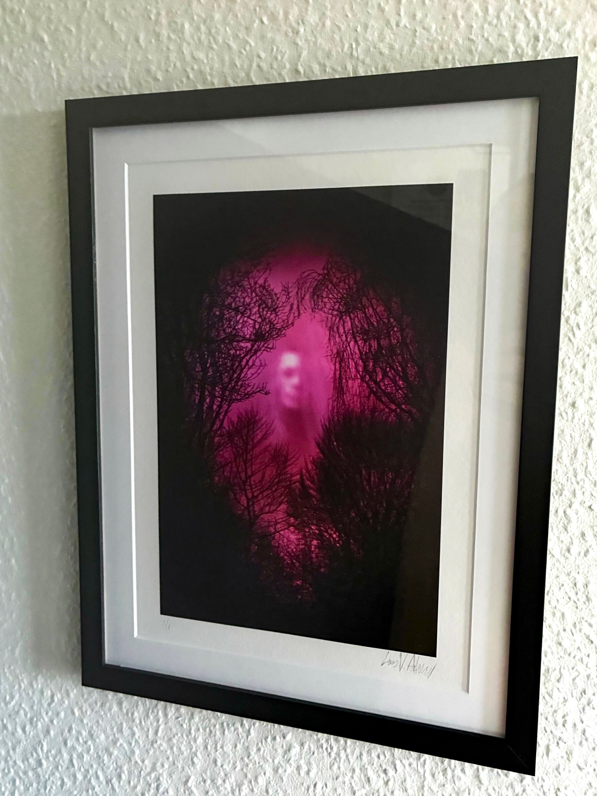 Ofte Jeg Drømmer Mig Levende