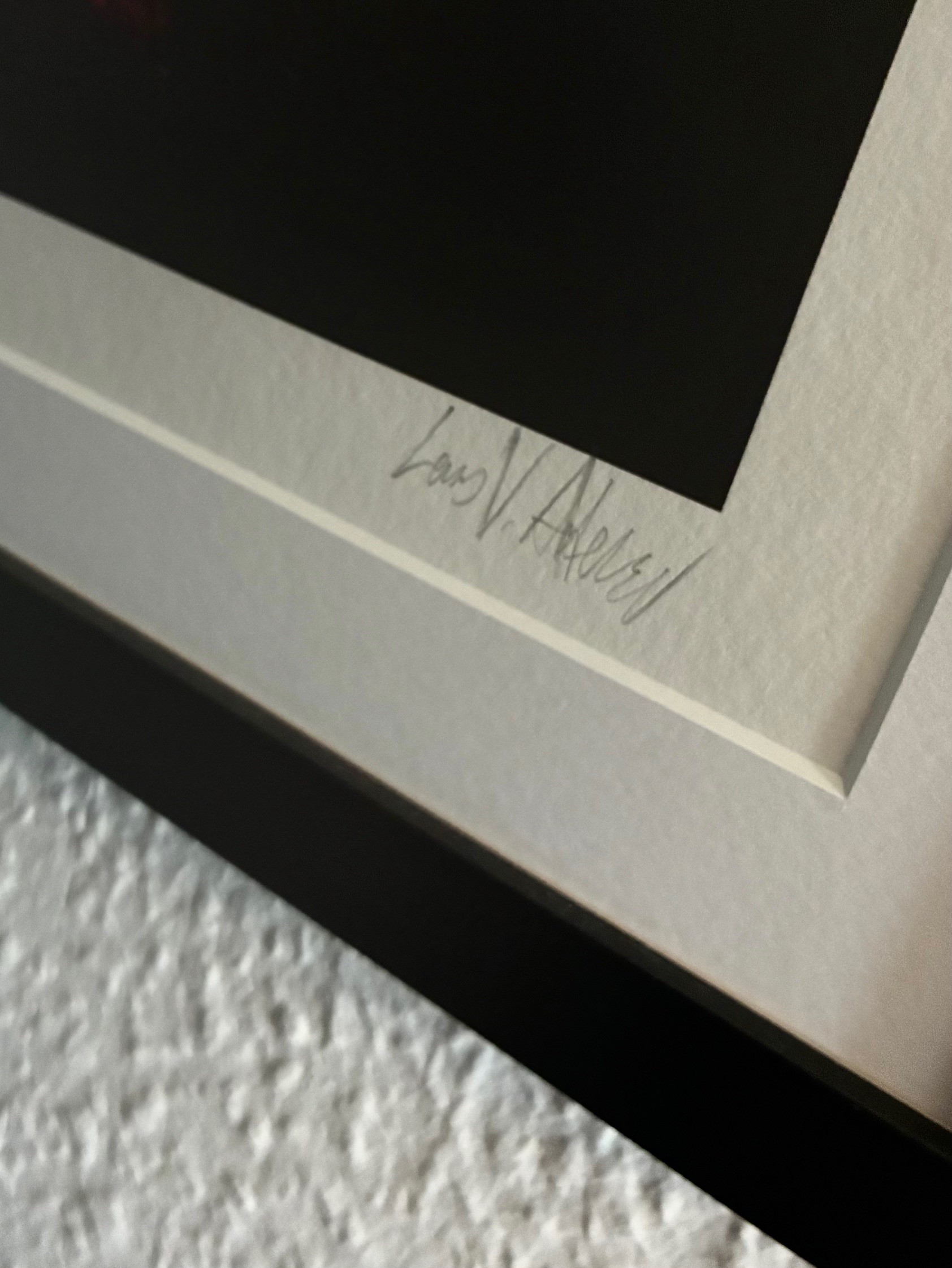 Ofte Jeg Drømmer Mig Levende